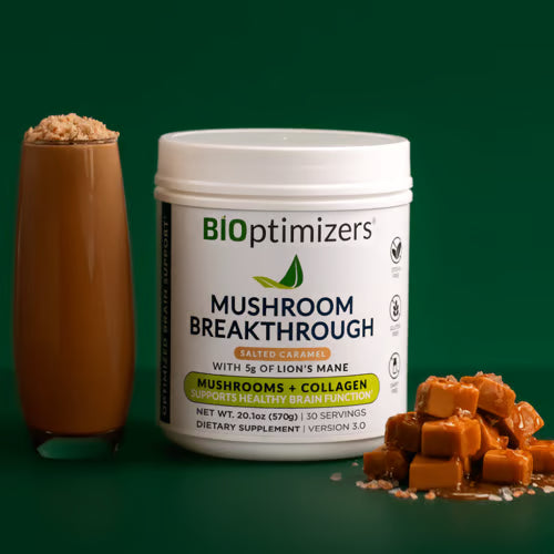 Памет, концентрация, сън, издръжливост MUSHROOM BREAKTHROUGH CHOCOLICIOUS Bioptimizers